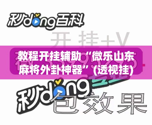 教程开挂辅助“微乐山东麻将外卦神器	”(透视挂)辅助透视教程