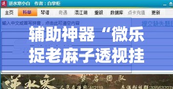 辅助神器“微乐捉老麻子透视挂”(透视挂)辅助透视教程