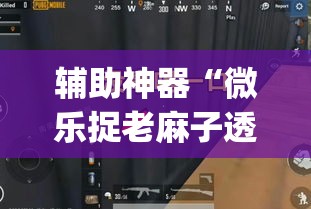 辅助神器“微乐捉老麻子透视挂”(透视挂)辅助透视教程