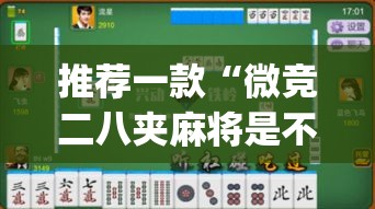 推荐一款“微竞二八夹麻将是不是有挂”(透视挂)辅助透视教程