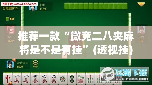 推荐一款“微竞二八夹麻将是不是有挂”(透视挂)辅助透视教程