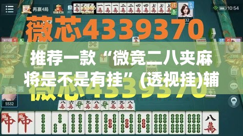 推荐一款“微竞二八夹麻将是不是有挂”(透视挂)辅助透视教程