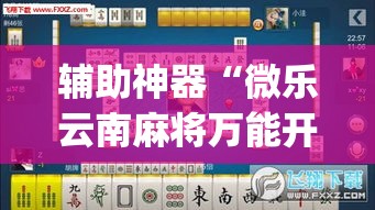 辅助神器“微乐云南麻将万能开挂器	”(透视挂)辅助透视教程