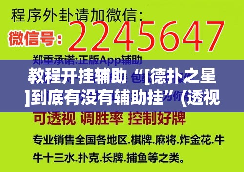 教程开挂辅助“[德扑之星]到底有没有辅助挂	”(透视挂)辅助透视教程