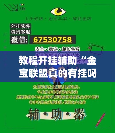 教程开挂辅助“金宝联盟真的有挂吗	”(透视挂)辅助透视教程
