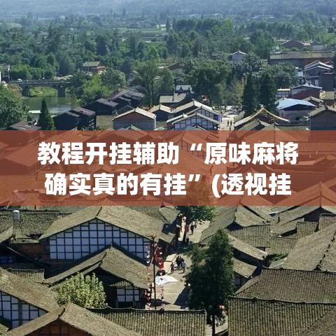 教程开挂辅助“原味麻将确实真的有挂”(透视挂)辅助透视教程