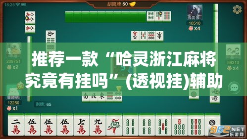 推荐一款“哈灵浙江麻将究竟有挂吗”(透视挂)辅助透视教程