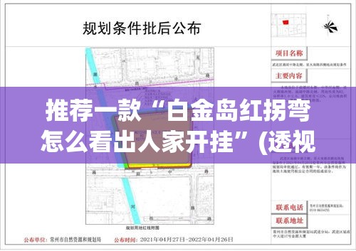 推荐一款“白金岛红拐弯怎么看出人家开挂”(透视挂)辅助透视教程