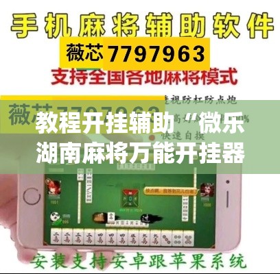 教程开挂辅助“微乐湖南麻将万能开挂器免费	”(透视挂)辅助透视教程