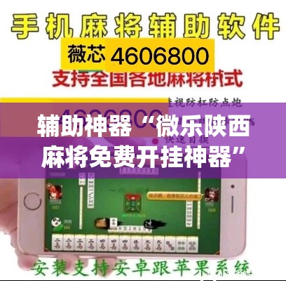 辅助神器“微乐陕西麻将免费开挂神器”(透视挂)辅助透视教程