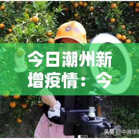 今日潮州新增疫情：今日潮州新增疫情情况