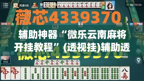 辅助神器“微乐云南麻将开挂教程	”(透视挂)辅助透视教程