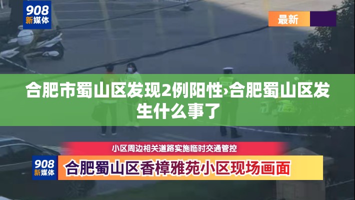 合肥市蜀山区发现2例阳性›合肥蜀山区发生什么事了