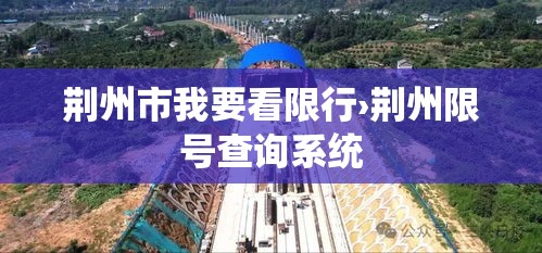 荆州市我要看限行›荆州限号查询系统