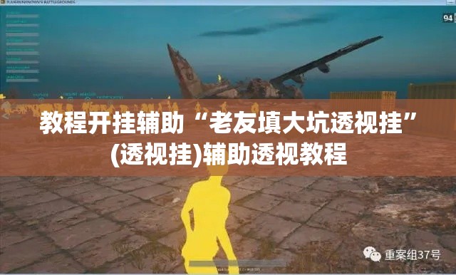 教程开挂辅助“老友填大坑透视挂”(透视挂)辅助透视教程