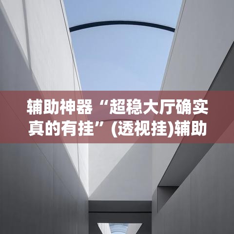 辅助神器“超稳大厅确实真的有挂”(透视挂)辅助透视教程