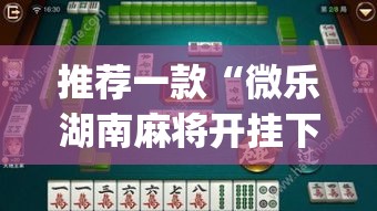 推荐一款“微乐湖南麻将开挂下载最新版”(透视挂)辅助透视教程