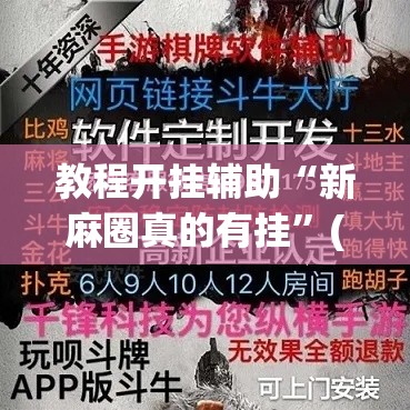 教程开挂辅助“新麻圈真的有挂”(透视挂)辅助透视教程