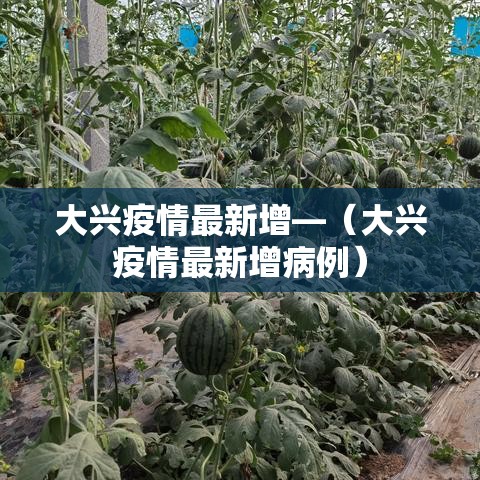 大兴疫情最新增—（大兴疫情最新增病例）