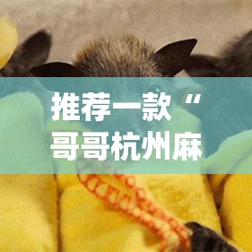 推荐一款“哥哥杭州麻将软件开挂器”(透视挂)辅助透视教程