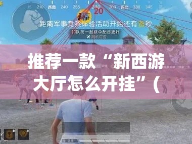 推荐一款“新西游大厅怎么开挂”(透视挂)辅助透视教程