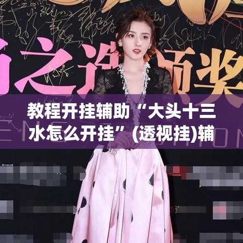 教程开挂辅助“大头十三水怎么开挂	”(透视挂)辅助透视教程