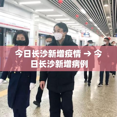 今日长沙新增疫情 → 今日长沙新增病例