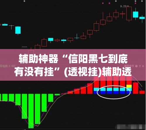 辅助神器“信阳黑七到底有没有挂	”(透视挂)辅助透视教程