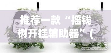 推荐一款“摇钱树开挂辅助器”(透视挂)辅助透视教程