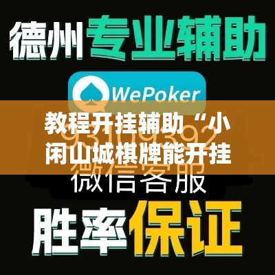 教程开挂辅助“小闲山城棋牌能开挂吗	”(透视挂)辅助透视教程