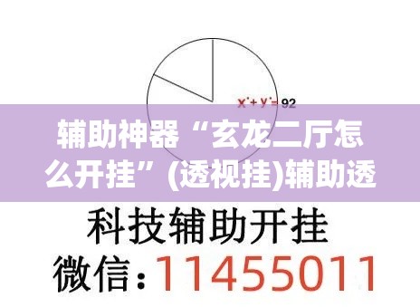 辅助神器“玄龙二厅怎么开挂	”(透视挂)辅助透视教程
