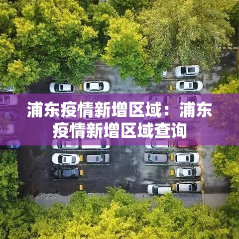 浦东疫情新增区域：浦东疫情新增区域查询