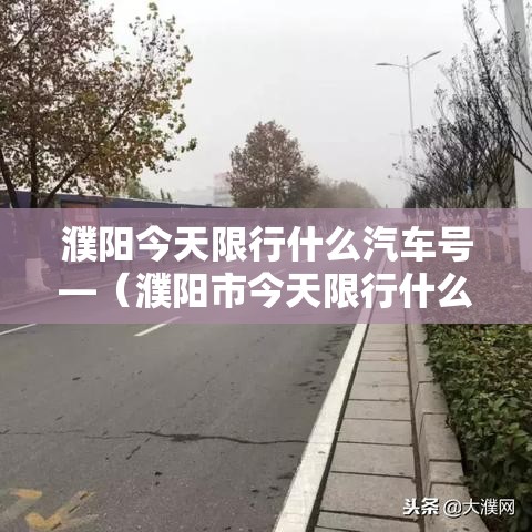 濮阳今天限行什么汽车号—（濮阳市今天限行什么号）