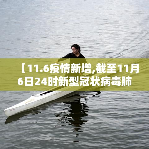 【11.6疫情新增,截至11月6日24时新型冠状病毒肺炎疫情最新情况】
