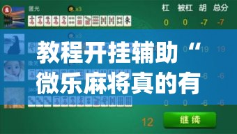 教程开挂辅助“微乐麻将真的有挂吗”(透视挂)辅助透视教程