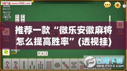 推荐一款“微乐安徽麻将怎么提高胜率”(透视挂)辅助透视教程