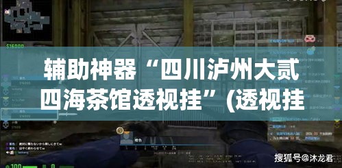 辅助神器“四川泸州大贰四海茶馆透视挂”(透视挂)辅助透视教程