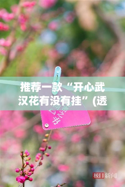 推荐一款“开心武汉花有没有挂	”(透视挂)辅助透视教程