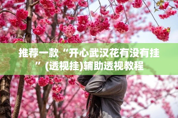 推荐一款“开心武汉花有没有挂”(透视挂)辅助透视教程