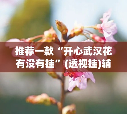 推荐一款“开心武汉花有没有挂”(透视挂)辅助透视教程