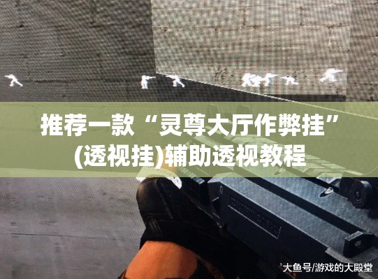 推荐一款“灵尊大厅作弊挂”(透视挂)辅助透视教程