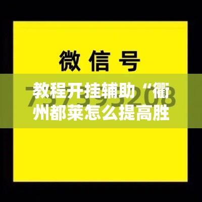 教程开挂辅助“衢州都莱怎么提高胜率”(透视挂)辅助透视教程