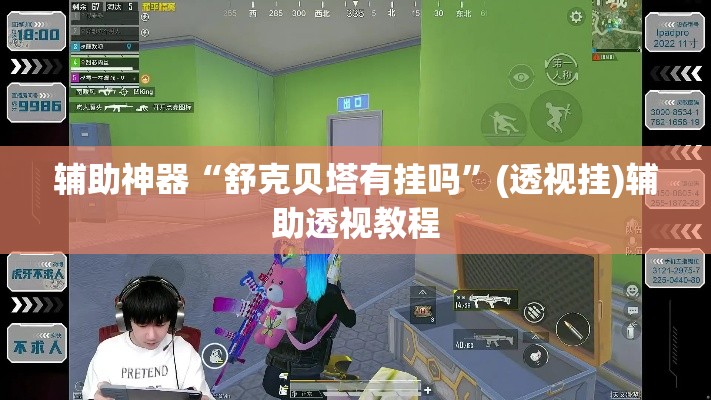 辅助神器“舒克贝塔有挂吗”(透视挂)辅助透视教程