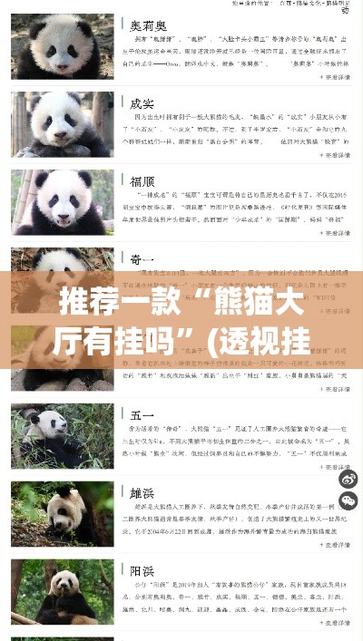 推荐一款“熊猫大厅有挂吗”(透视挂)辅助透视教程