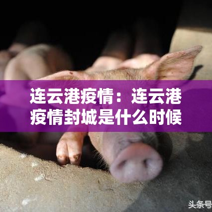连云港疫情:连云港疫情封城是什么时候开始的呢 连云港疫情:连云港疫情封城是什么时候开始的呢