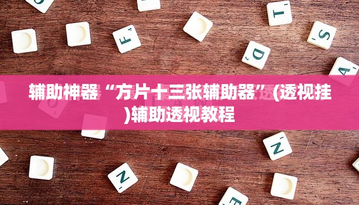 辅助神器“方片十三张辅助器”(透视挂)辅助透视教程