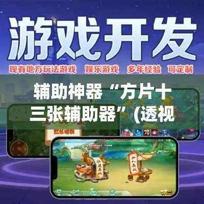 辅助神器“方片十三张辅助器”(透视挂)辅助透视教程
