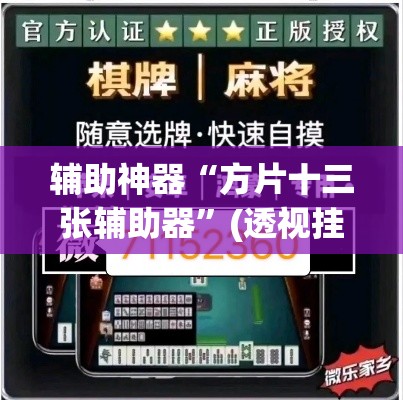 辅助神器“方片十三张辅助器	”(透视挂)辅助透视教程