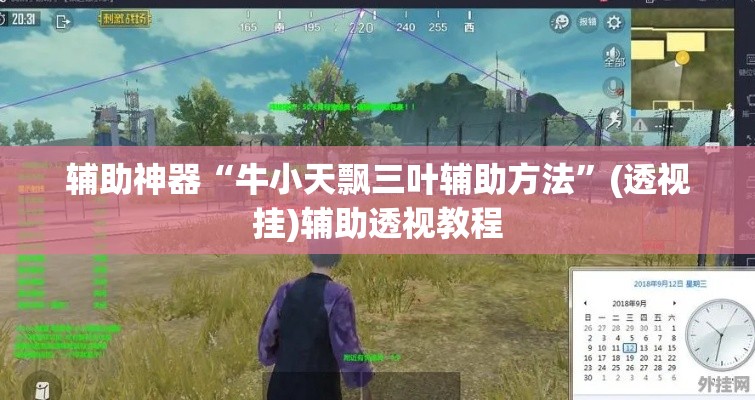 辅助神器“牛小天飘三叶辅助方法”(透视挂)辅助透视教程