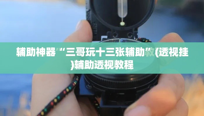 辅助神器“三哥玩十三张辅助”(透视挂)辅助透视教程